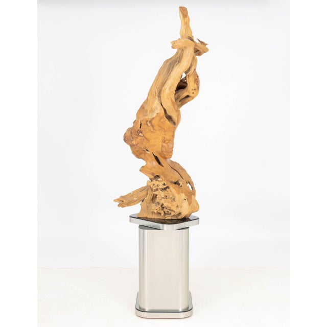 Wood Dale Zarrella Portrait Driftwood Sculpture, 1996 For Sale - Image 7 of 18