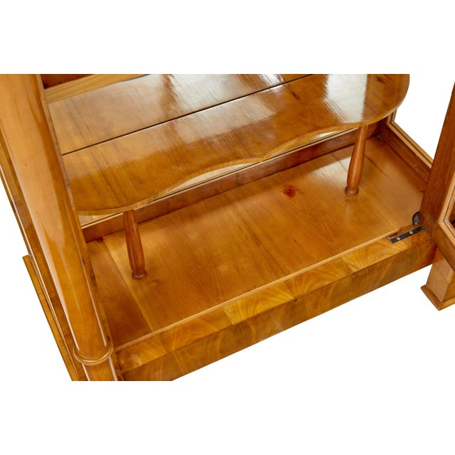 Antique Biedermeier Glazed Elm Display Cabinets, 1840, Set of 2 For Sale - Image 3 of 11