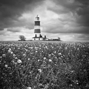 Paul Cooklin, Happisburgh Lighthouse III, Photograph