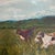 1940’s original folk art impressionist dogs running through field landscape painting. Measures 24x18 or 32x26 framed. Some...