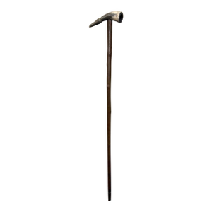 19th Century Spanish Cane With Horn Handle, Circa 1870