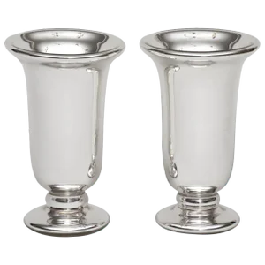 Mercury Glass Vases by Varnish - a Pair
