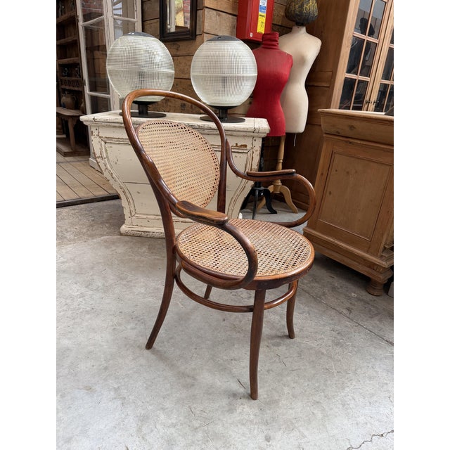 Bentwood and Beech Armchair from DLG Thonet For Sale - Image 11 of 11