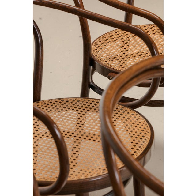 Model 209 Dining Chairs from Thonet, 1960s, Set of 6 For Sale - Image 6 of 13