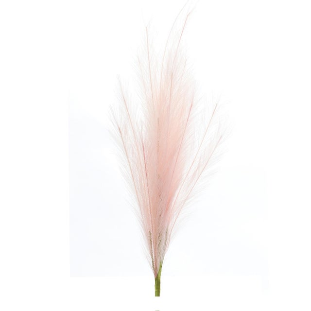 Rustic AssortedPink Plume Spray (Set of 3) For Sale - Image 3 of 5