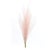 Rustic AssortedPink Plume Spray (Set of 3) For Sale - Image 3 of 5