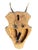 Roe Deer Trophy 155 Black Forest Antlers Mount For Sale - Image 4 of 5