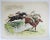 Early 20th Century Vintage Early 20th Century French Steeplechase Horse Racing Etching For Sale - Image 5 of 6
