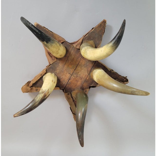 Early 20th Century American Folk Art Star Pincushion on Mounted Cattle Horn Base, Early 20th Century For Sale - Image 5 of 9