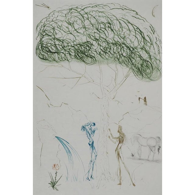 Salvador Dali, Nude, Under the Umbrella Pine, 1970, Engraving For Sale - Image 4 of 7