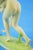 20th Century Art Deco Ceramic Nude Woman Sculpture by Josef Lorenzl for Goldscheider, Austria For Sale - Image 14 of 18