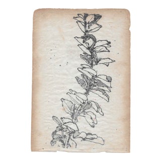 1950s Botanical Still Life by Japanese Artist For Sale