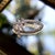 Silver Mid-Century 14k White Gold Diamond Oval Bow Pin For Sale - Image 8 of 8