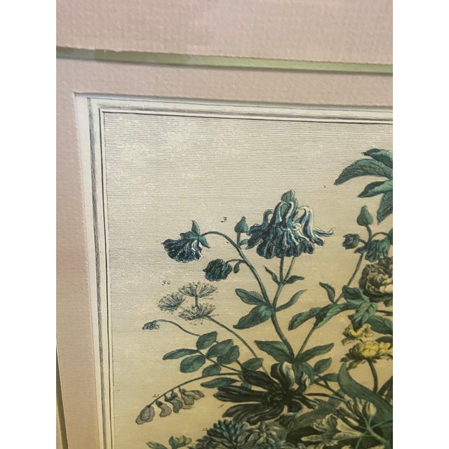 Vintage Robert Furber May Botanical Calendar Print, Framed For Sale - Image 12 of 12