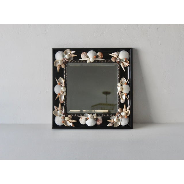 Susan Lloyd Style Handmade Coastal Square Natural Shell Wall Mirror Black Frame Vintage For Sale In Miami - Image 6 of 14