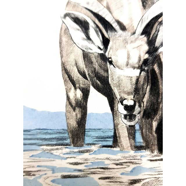 Metal Paul Jouve - Antelope - Original Engraving 1950 For Sale - Image 7 of 9