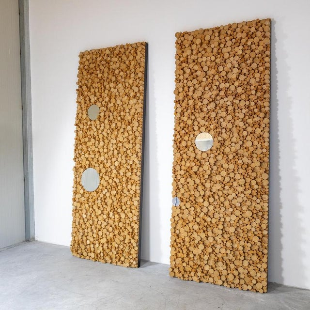 Decorative Wooden Panels with Mirrors, Set of 2 For Sale - Image 6 of 7