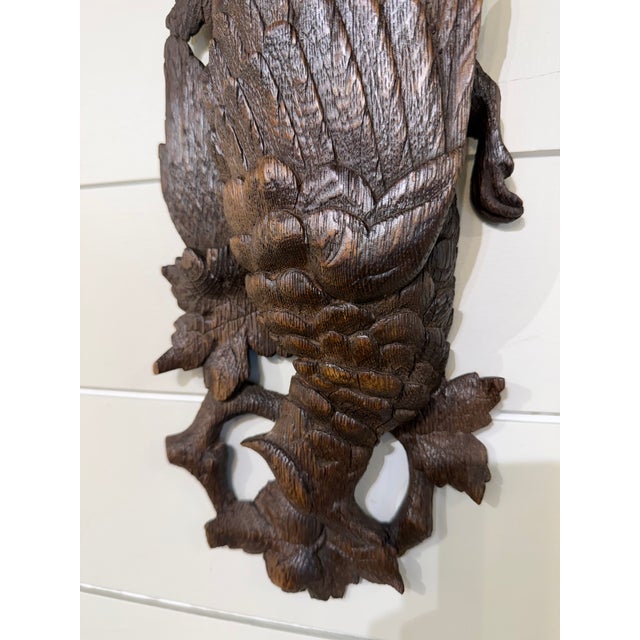 19th Century Black Forest Plaque Bird Motif For Sale - Image 4 of 7