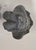 Purchased from the museum of The Terra-Cotta Warriors and Horse in Xiang China in 2010. Color is clay and dirt from...