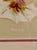 Original Art, Morning Glories, Custom Framed Art Painted on Silk For Sale In New York - Image 6 of 11
