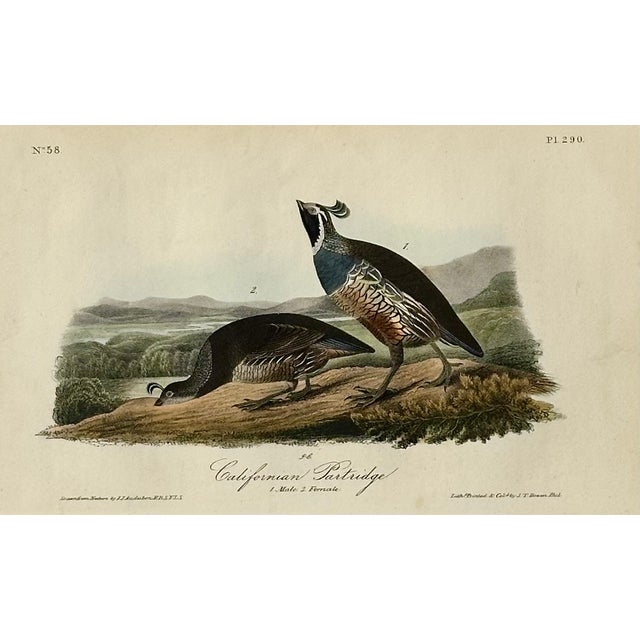 Original 19th century John James Audubon hand colored 1st edition lithograph from Audubon's "Birds of North America",...