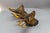 Roe Deer Made of Plaster, Germany, 1930s, Set of 2 For Sale - Image 14 of 18