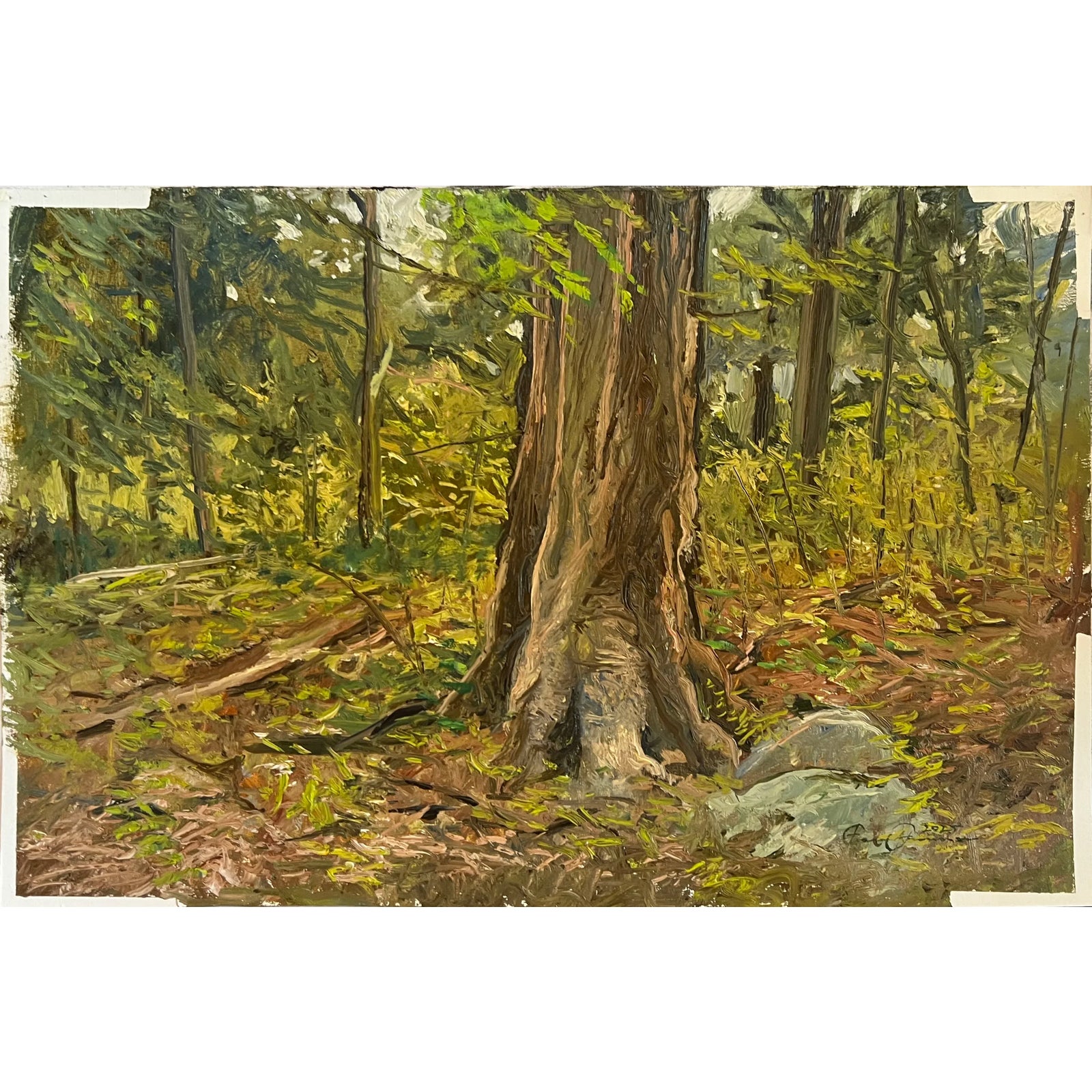 May Wood by Eric Forstmann | Chairish