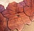 Mid-Century Modern Lumen and Log Hand-Carved Black Walnut "Hibiscus & Hummingbird" Sculptural Coffee Table For Sale - Image 3 of 9
