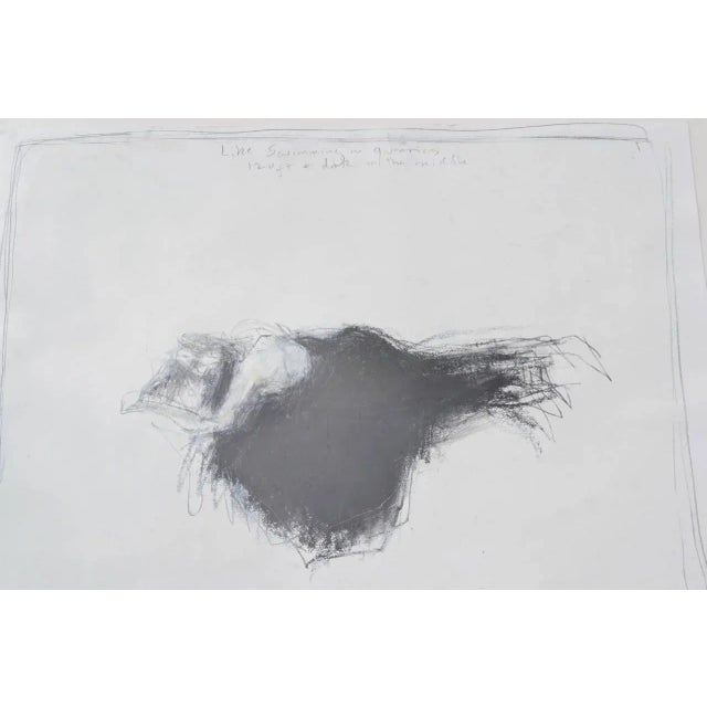 Like Swimming In A Quarry - 120 feet and dark in the middle. One of Wadsworth's celebrated & innovative Black Cloth...