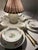 Vintage Wild Rose China Full Dining Set for 6 - 41 pcs For Sale In Orlando - Image 6 of 11