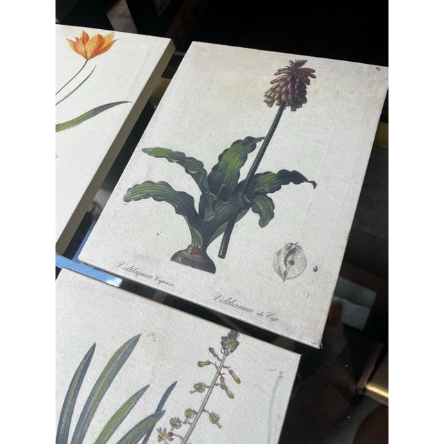 1970s Collection of Floral Signed Prints on Canvas - Set of 4 For Sale In Atlanta - Image 6 of 6