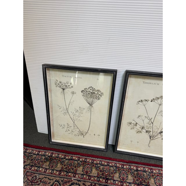 Napa Home & Garden Wildflower Study Art Prints, Set of Six For Sale In San Francisco - Image 6 of 12