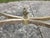 Metal Vintage Ethan Allen Oval Brass Glass Coffee Table For Sale - Image 7 of 11