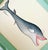 The whale’s wonderfully expressive face is brought to life through its mischievous eye, gently arched brow, wide-open...