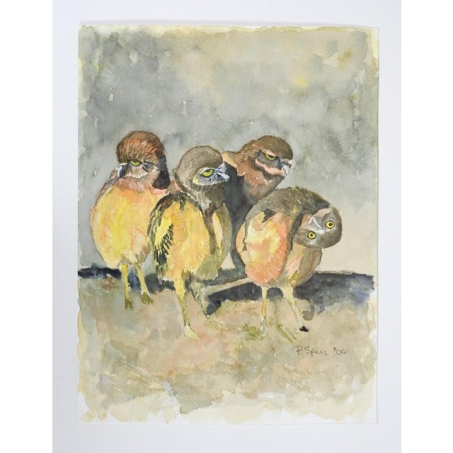 Rustic 2006 Curious Little Owls Watercolor Painting For Sale - Image 3 of 3