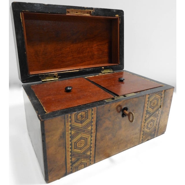 19th Century English Tunbridge Walnut Tea Caddy For Sale - Image 4 of 10