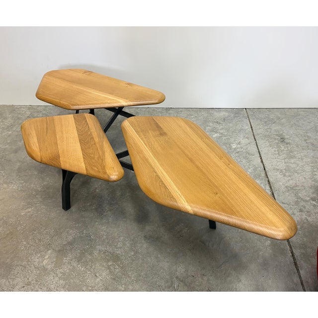 Noé Duchaufour-Lawrance Organic Modern Borghese Coffee Table, France For Sale In Miami - Image 6 of 6