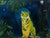"Message", Oil on Canvas Painting by Seromo Okoro For Sale