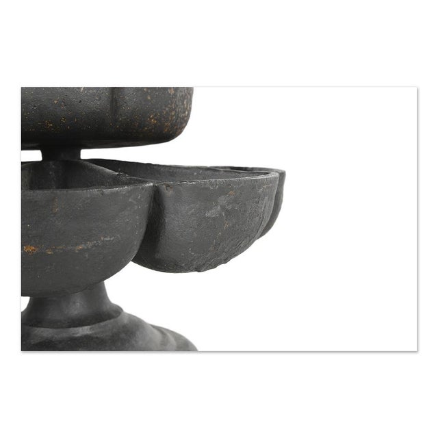 Cast Iron Shoemaker Tulip For Sale - Image 3 of 7