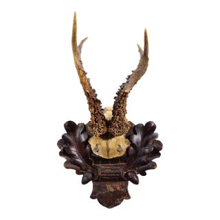 Antique Black Forest Red Deer Trophy on Carved Plaque - Germany 1910 For Sale