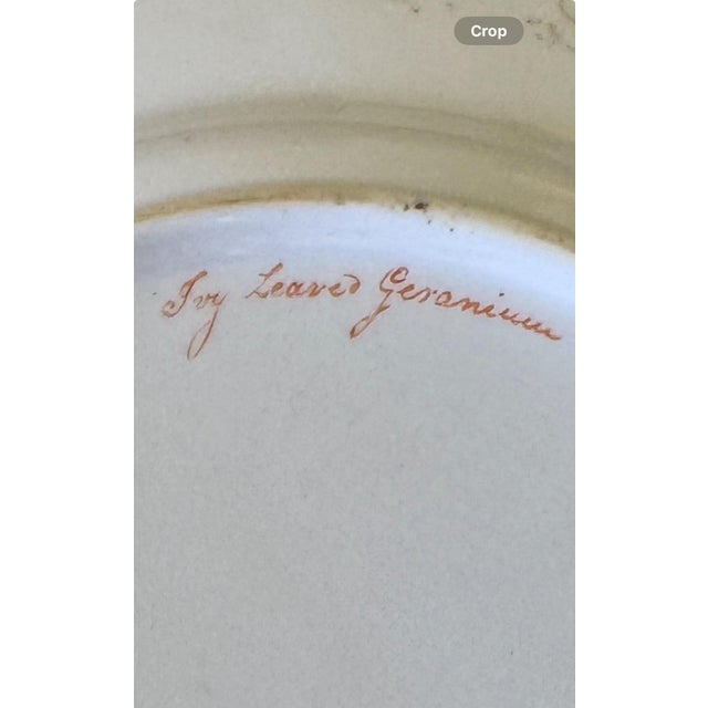 Late 19th Century Antique “Ivy Leaved Geranium” Botanical Plate – Hand-Colored English Transferware, 19th Century For Sale - Image 5 of 12