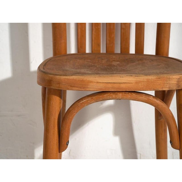 Bistro Chairs from Thonet, 1920s, Set of 6 For Sale - Image 10 of 13