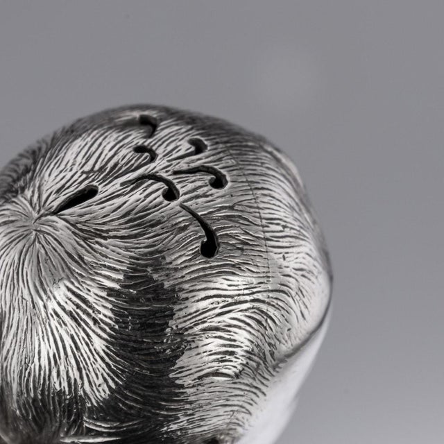 19th Century Victorian Silver Novelty Salt & Pepper, London, England, 1880s, Set of 2 For Sale - Image 9 of 18
