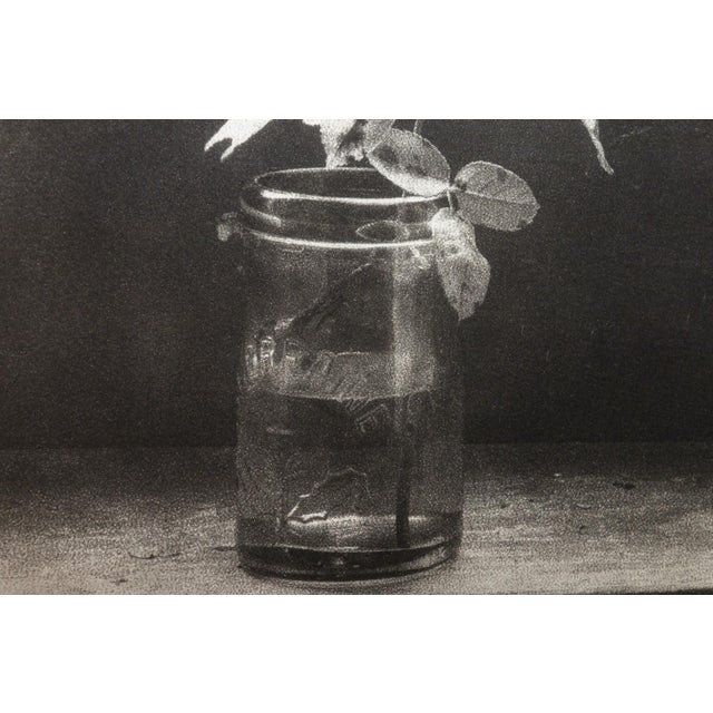 Late 20th Century John Stewart - Rose and Artichoke, 1992 Signed Gelatin Silver Print Contemporary For Sale - Image 5 of 6