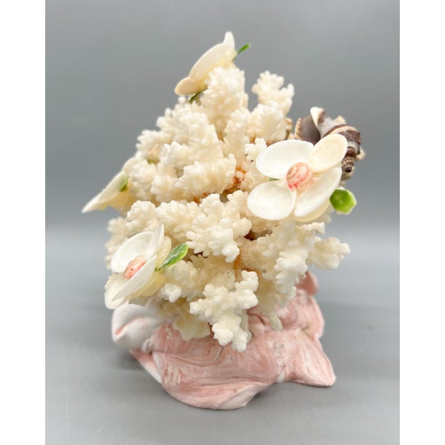 Nautical Folk Art Coral & Shell Flower Arrangement – Coastal Decor With Swirled Composite Base For Sale - Image 3 of 15