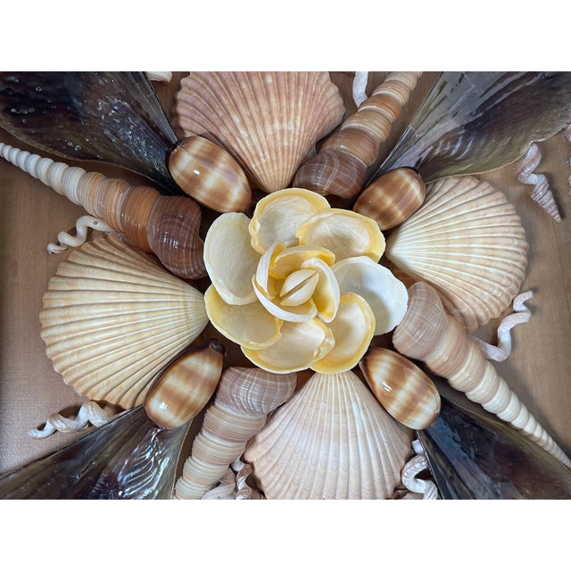 Coastal 1970s Shell Art Wall Decor in Shadow Box For Sale - Image 3 of 4