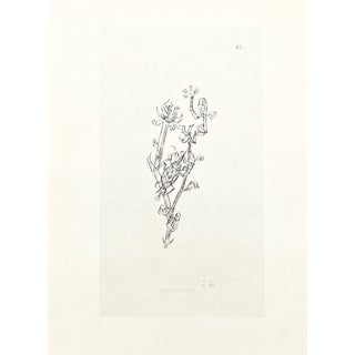 1947 Paul Klee Engraving 22 Grant Aphis 1920 Reproduction For Sale