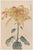 Golden Spider Chrysanthemum by Hasegawa, Vintage Japanese Botanical Art Print, 16" X 24" For Sale