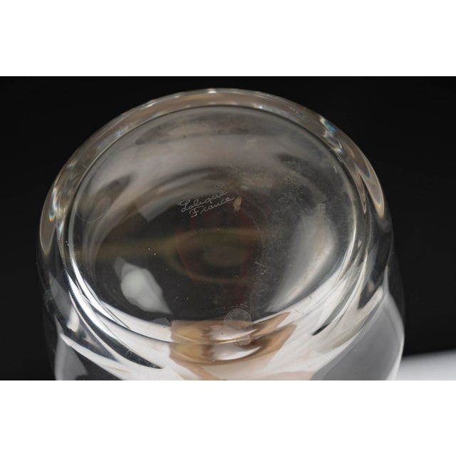 1960s Crystal Roxanne Service from Lalique, France, 1968, Set of 31 For Sale - Image 5 of 9