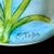 Elliot Hall Teardrop Floral Enamel, E. Todd, Signed Limited Edition For Sale - Image 4 of 6
